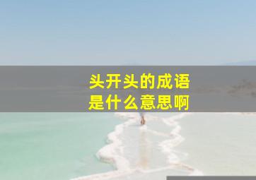 头开头的成语是什么意思啊