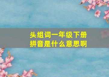 头组词一年级下册拼音是什么意思啊