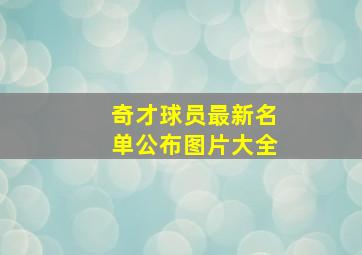 奇才球员最新名单公布图片大全