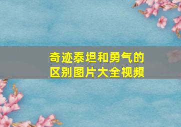 奇迹泰坦和勇气的区别图片大全视频