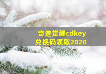 奇迹觉醒cdkey兑换码领取2020