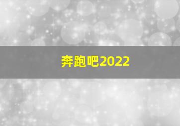 奔跑吧2022