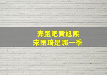 奔跑吧黄旭熙宋雨琦是哪一季