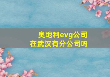 奥地利evg公司在武汉有分公司吗