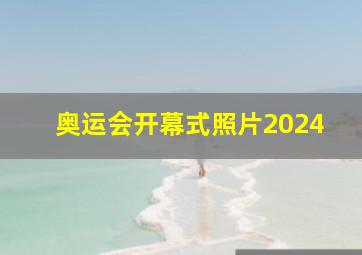 奥运会开幕式照片2024