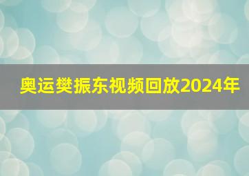 奥运樊振东视频回放2024年