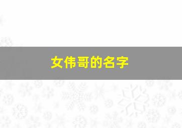 女伟哥的名字