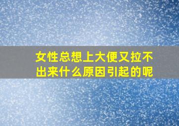 女性总想上大便又拉不出来什么原因引起的呢