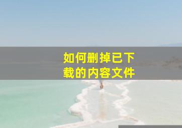 如何删掉已下载的内容文件