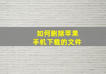 如何删除苹果手机下载的文件