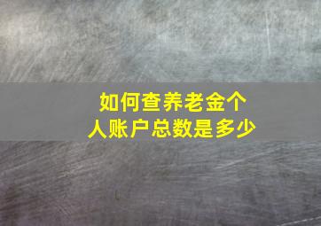 如何查养老金个人账户总数是多少