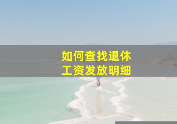 如何查找退休工资发放明细