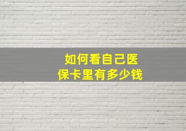 如何看自己医保卡里有多少钱