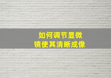 如何调节显微镜使其清晰成像