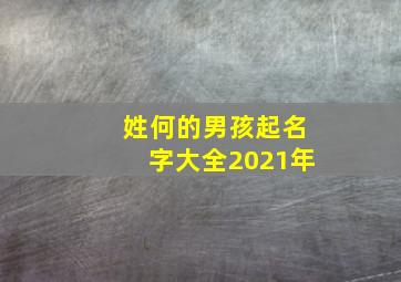 姓何的男孩起名字大全2021年