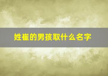 姓崔的男孩取什么名字