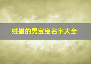 姓崔的男宝宝名字大全