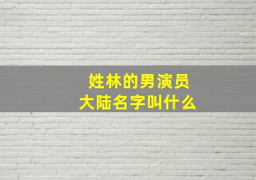 姓林的男演员大陆名字叫什么