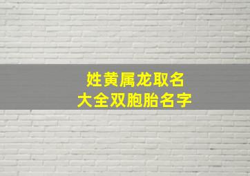 姓黄属龙取名大全双胞胎名字