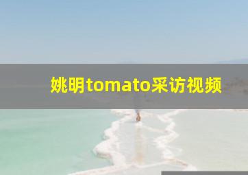 姚明tomato采访视频