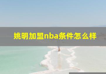 姚明加盟nba条件怎么样