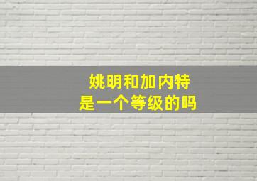 姚明和加内特是一个等级的吗