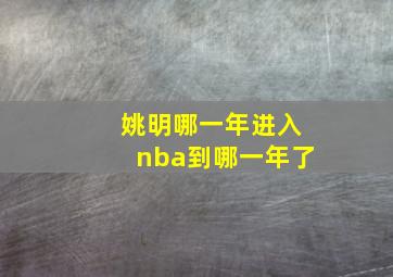 姚明哪一年进入nba到哪一年了