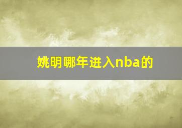 姚明哪年进入nba的