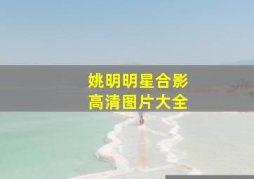 姚明明星合影高清图片大全