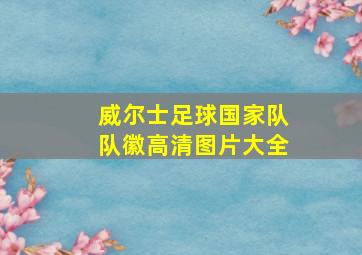 威尔士足球国家队队徽高清图片大全