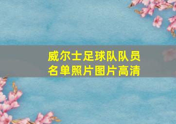 威尔士足球队队员名单照片图片高清