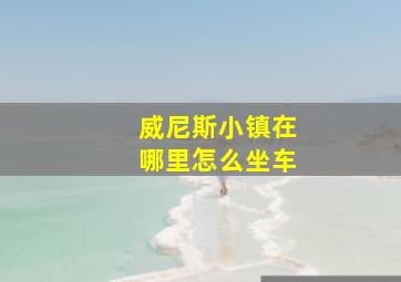 威尼斯小镇在哪里怎么坐车