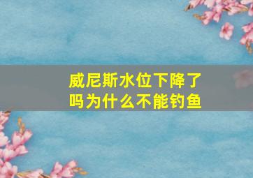 威尼斯水位下降了吗为什么不能钓鱼