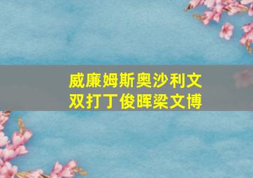 威廉姆斯奥沙利文双打丁俊晖梁文博