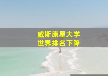 威斯康星大学世界排名下降