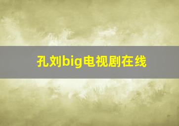 孔刘big电视剧在线