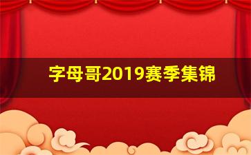 字母哥2019赛季集锦