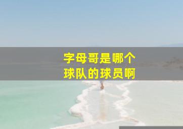 字母哥是哪个球队的球员啊