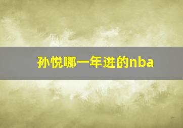 孙悦哪一年进的nba