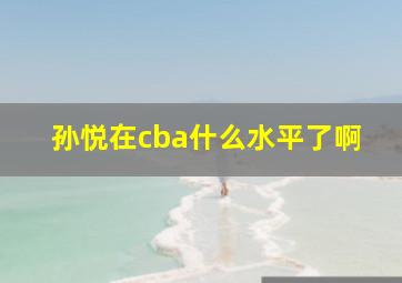 孙悦在cba什么水平了啊