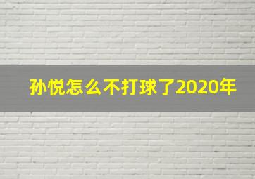 孙悦怎么不打球了2020年