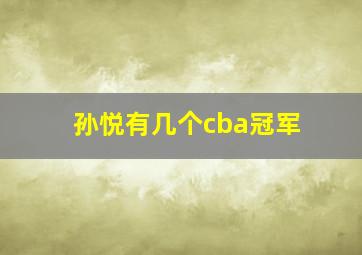 孙悦有几个cba冠军