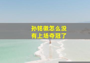 孙铭徽怎么没有上场夺冠了