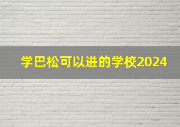 学巴松可以进的学校2024