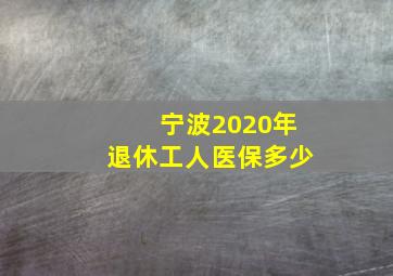 宁波2020年退休工人医保多少