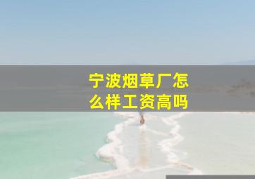 宁波烟草厂怎么样工资高吗