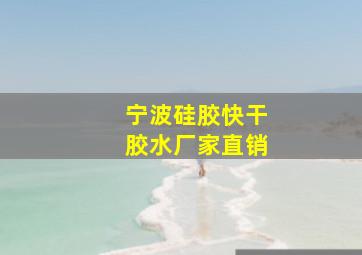 宁波硅胶快干胶水厂家直销