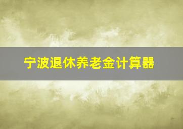 宁波退休养老金计算器