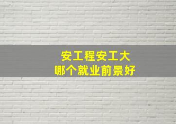 安工程安工大哪个就业前景好