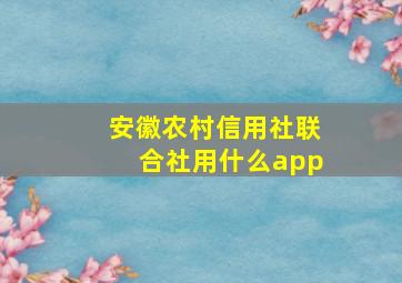 安徽农村信用社联合社用什么app